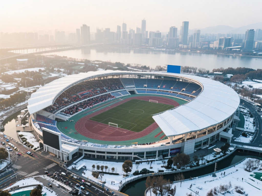 将球送入网 将球送入网